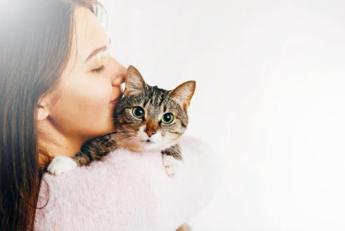 猫と飼い主