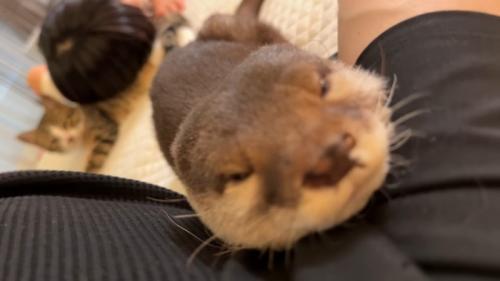 さくらちゃんのアップ