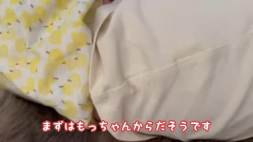 もっちゃんの背中のアップ
