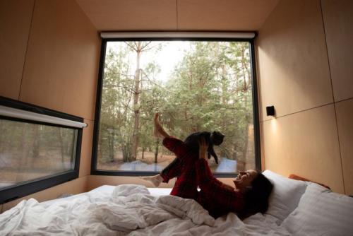 ベッドで遊ぶ女性と猫