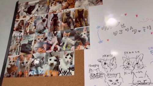 里子に出た子の写真