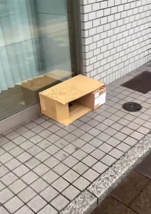 段ボール