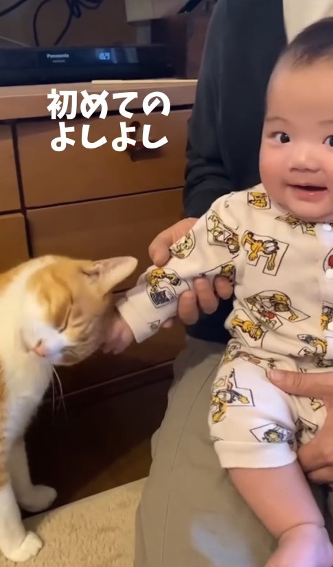 猫にすり寄られてカメラ目線の赤ちゃん