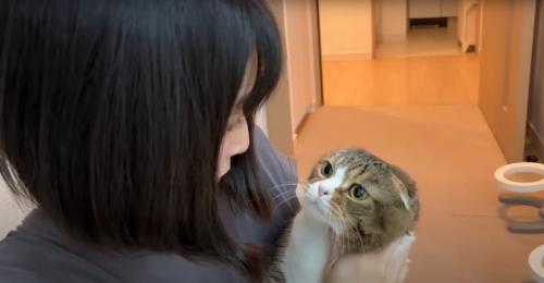 飼い主さんに抱っこされる猫