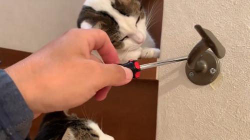 見つめるふたり