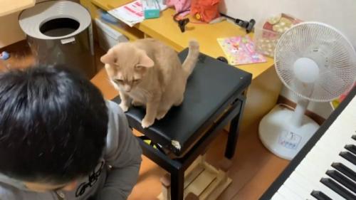 後ろから見るひのきちゃん