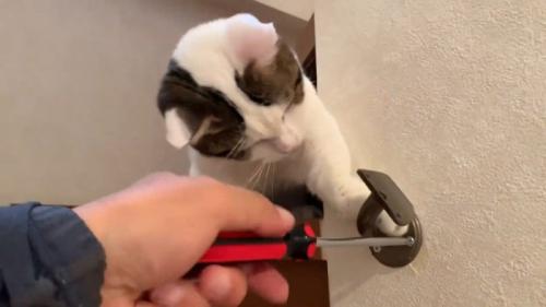 手を出す豆大福くん