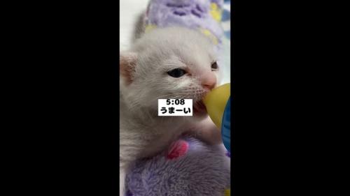 うまーい