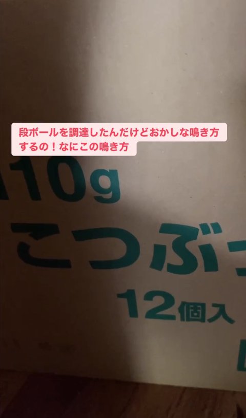 段ボールのアップ