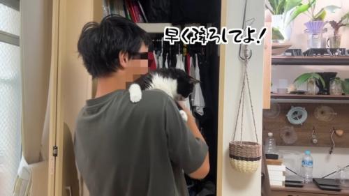 早く降ろしてよ!