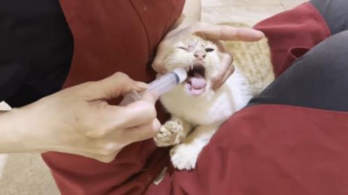 投薬中