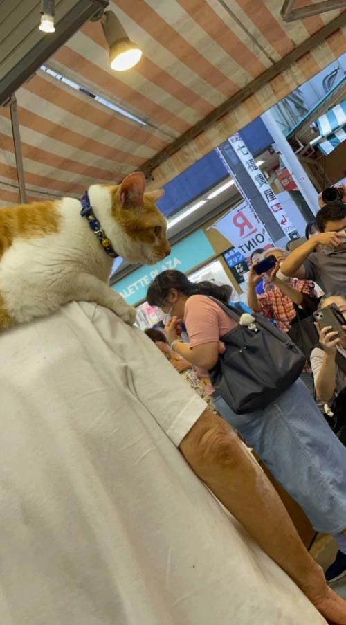 飼い主の肩に乗る猫を見つめるたくさんの客