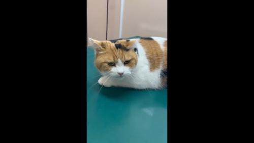 顔のアップ