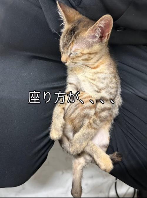 座り方が…