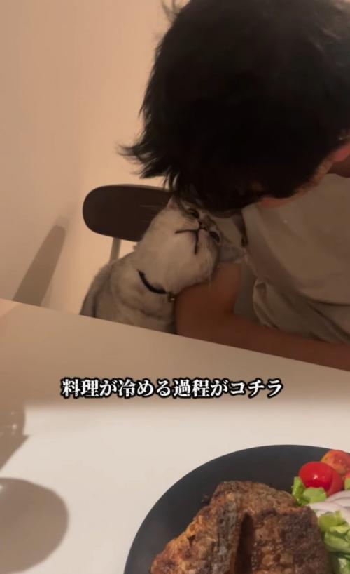 隣に座る猫