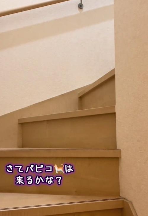 2階に続く階段