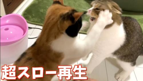 超スロー再生右パンチ