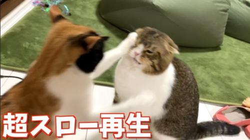 超スロー再生左パンチ