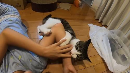こちらを向くハナくん