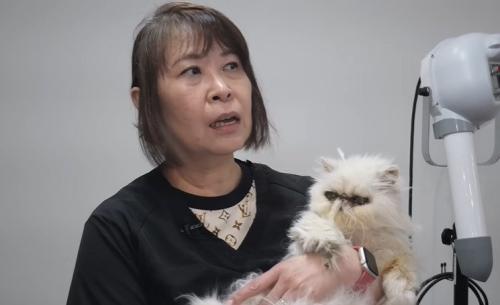 抱っこされる猫