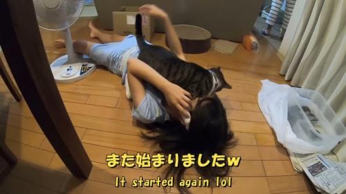 また始まりました