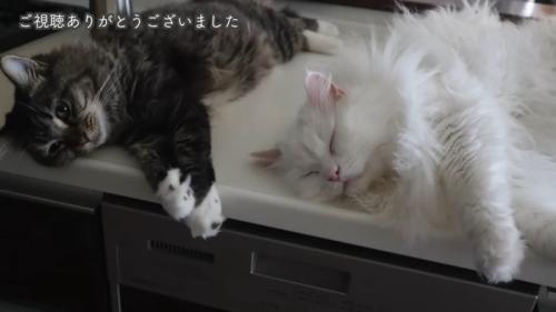 横になるふたり