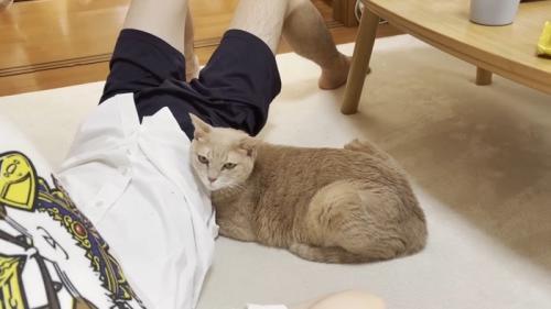 寄り添い(アップ)