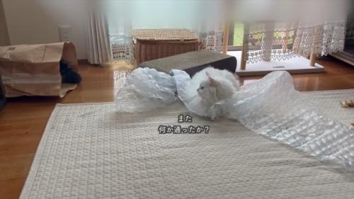 また何か通ったか?