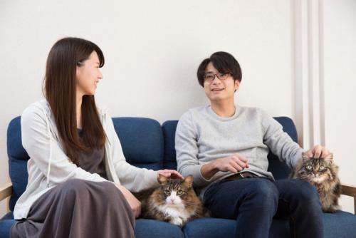 猫との暮らしを楽しむカップル