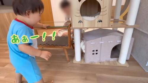 テロップ「ああー！」