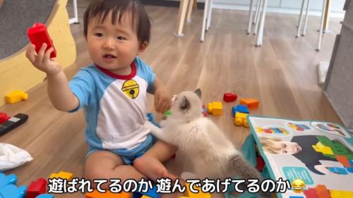 テロップ「遊ばれてるのか～」