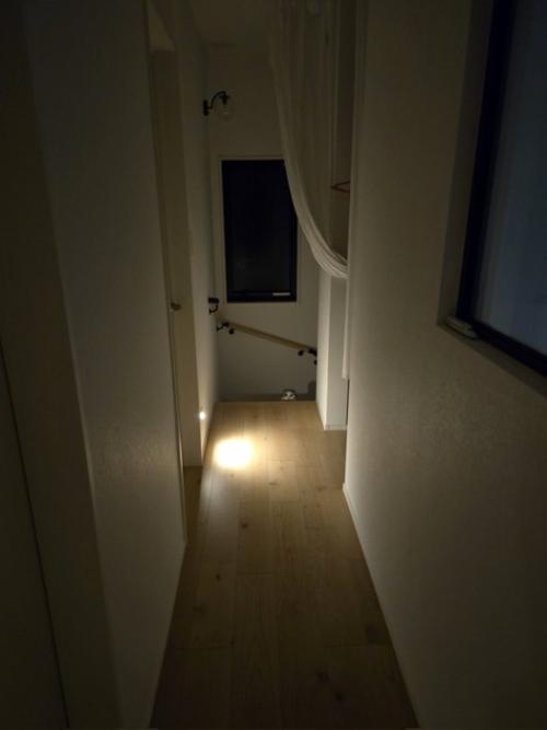 階段にいる猫