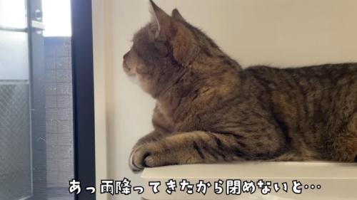 雨が降ってきたので窓を閉めないと…