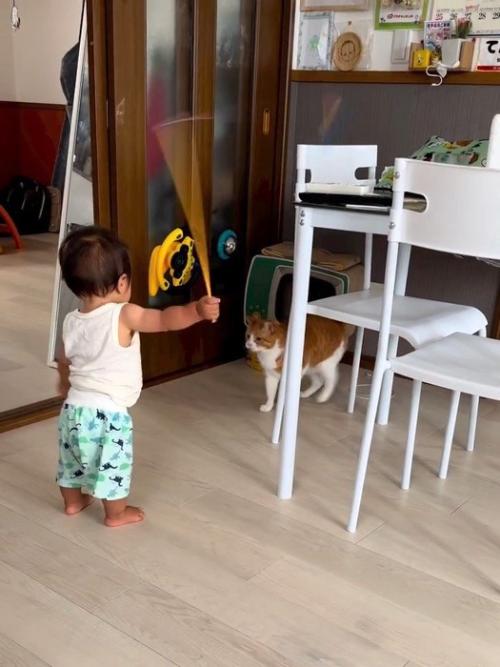 立って向かい合う子どもと猫