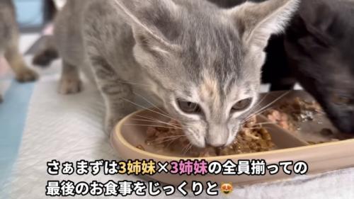 「さぁまずは...」のテロップ写真