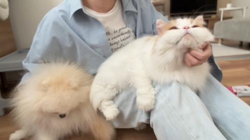 モフられるふたり