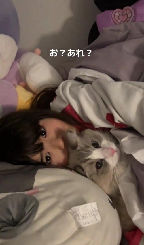 猫と寝る女の子