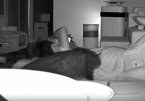 猫と寝転がっている飼い主