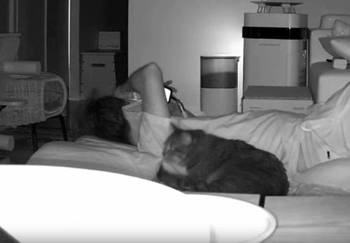 猫と寝転がっている飼い主