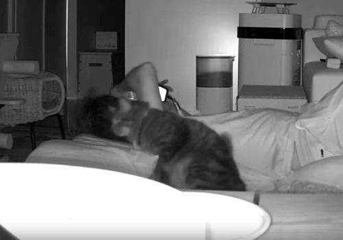 猫と寝転がっている飼い主