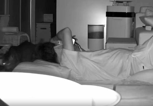 猫と寝転がっている飼い主