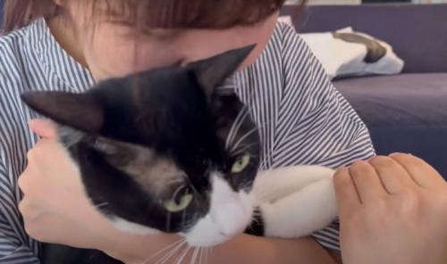 猫の様子