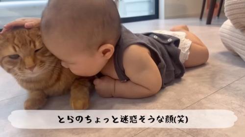 迷惑そうな顔