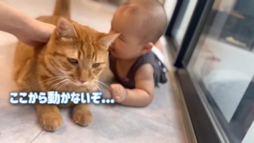 動かないぞ…