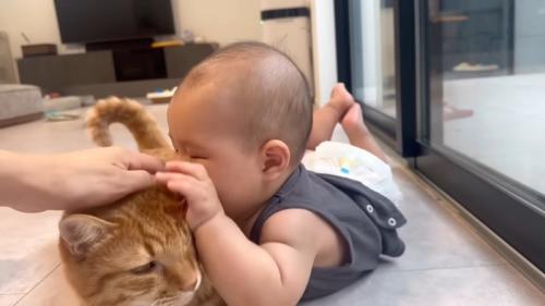 顔をくっつける赤ちゃん
