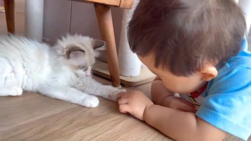 腹ばいで向かい合うふたり