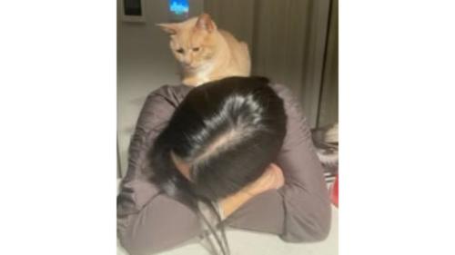 女性と猫