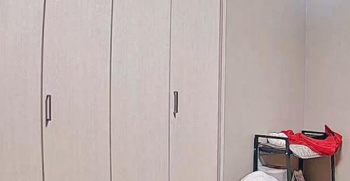 部屋の様子を映し出すペットカメラ