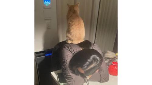 女性と猫