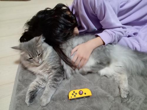 猫を抱きしめる女の子